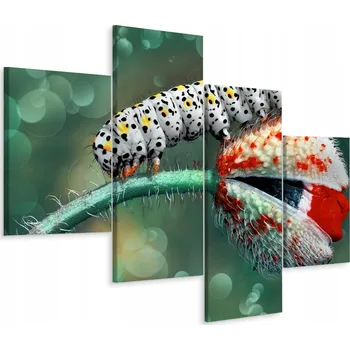 Obraz Čtyřdílný obraz Housenka ROSTLINA Makro 80x50