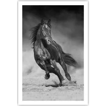 Obraz Obraz plakát do obýváku ložnice 61x91 kůň foto plakáty na zeď bez rámu