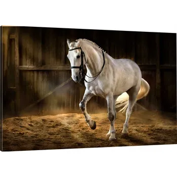 Obraz OBRAZ NA PLÁTNĚ KŮŇ HŘEBEC 120x80 980