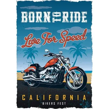 Obraz Cedule Born to Ride - Live For Speed