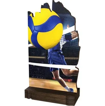 Dřevěná plaketa WPLA02M15 | Volejbal