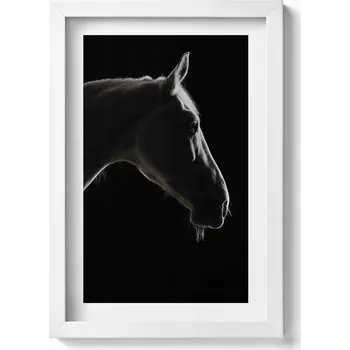 Obraz Obraz s bílým rámem a grafikou na zeď Hlava koně na černém pozadí 20x30 cm