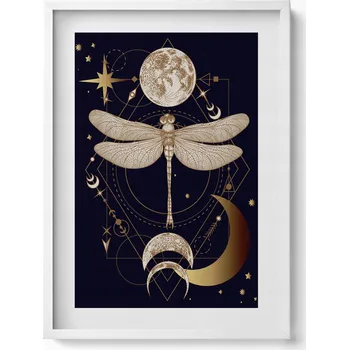 Obraz Moderní nástěnná dekorace Magická kompozice vesmíru a vážky 50x70 cm