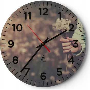 Hodiny Kuchyňské nástěnné hodiny 30x30 Pampeliška Moderní skleněné hodiny Tiché