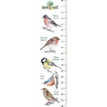 Doplněk ke knize Lesní svět Papírová záložka s měřítkem - Pěnkava