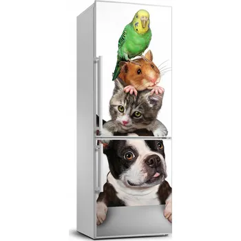 Fototapeta Samolepka na lednici - zvířata, 70x190 cm