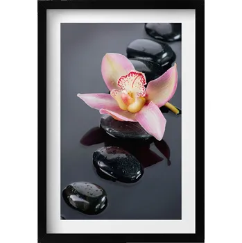 Obraz Závěsný obraz rámeček černé barvy Květina na kamenech ve vodě 40x60 cm