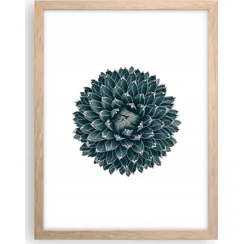 Obraz Obraz plakát v rámu světlý dub do obýváku 30x40 kaktus plakáty na zeď