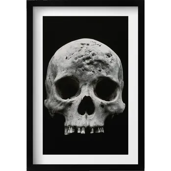 Obraz Elegantní obraz do obývacího pokoje v černém rámu Lidská lebka kostra 40x60 cm