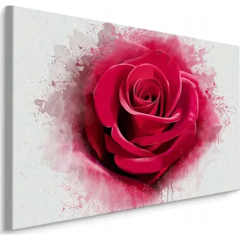 Obraz Obraz na plátně KVĚT Růže zblízka Dekorace 40x30