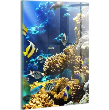 Obraz Foto Obraz na Zeď Sklo do Ložnice Fotografie ryby na korálovém útesu 20x30