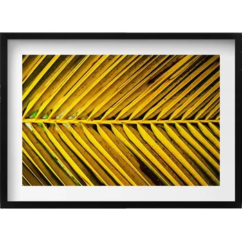 Obraz Dekorativní nástěnný obraz v černém rámu do pokoje Listy rostliny 70x50 cm