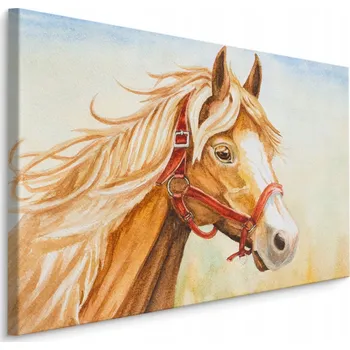Obraz Obraz na plátně Kůň zvíře nebe akvarel 70x50