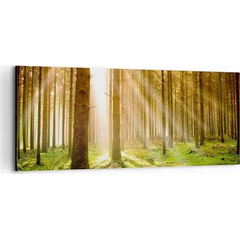 Obraz Foto obraz na plátně canvas 100x40 les obývák ložnice na zeď velký