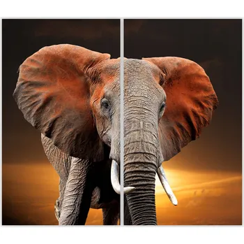 Kuchyňské prkénko Skleněná Ochranná Deska a Krájecí Prkénko | Indukce, Sporák ds-0544