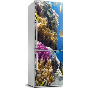 Fototapeta Samolepící nálepka na ledničku Korálový útes