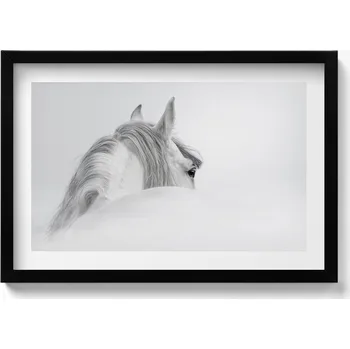 Obraz Závěsný obraz na zeď dekorace do domu Andaluský kůň v mlze 60x40 cm