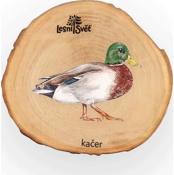 magnetka pro dítě Lesní svět Magnet letokruh - Kačer