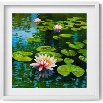 Obraz Dekorace obraz s grafikou v krásném bílém rámu Lektíny (Lilie vodní) 50x50 cm