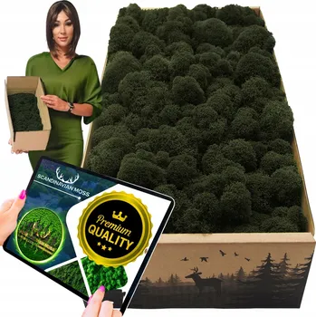 Obraz Sobí mech CHROBOTEK finský 500g Dekorativní PREMIUM živý okrasný