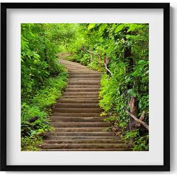 Obraz Dekorativní obraz v černém rámu do obýváku Schody uprostřed lesa 50x50 cm