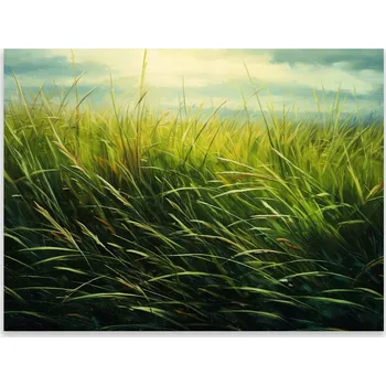 Kuchyňské prkénko Skleněná Ochranná Deska a Krájecí Prkénko | Indukce, Sporák ds-0333