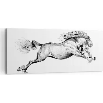 Obraz Foto obraz na plátně canvas 100x40 kůň obývák ložnice na zeď velký