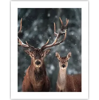 Obraz Obraz plakát na zeď bez rámu 40x50 jelen foto plakáty do obýváku ložnice