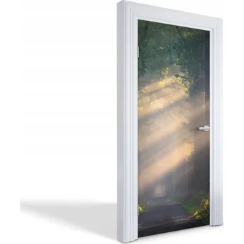 Fototapeta Dekorativní samolepka maskující na dveře skříně nábytku Lesní paprsky 95x205 cm