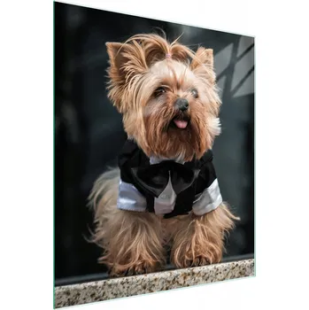 Kuchyňské prkénko Krájecí deska TMK ArtDeko sklo 1 ks