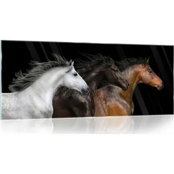 Obraz Skleněný obraz na skle moderní koně 3D 125x50