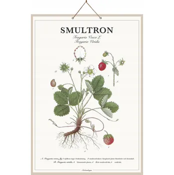 Obraz Obraz Stromshaga 327800 46x66 cm bílý