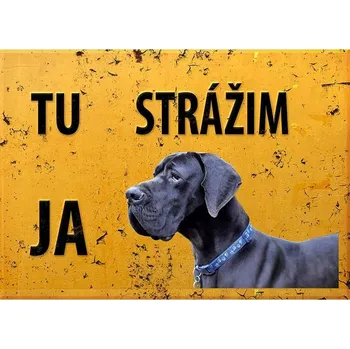 Obraz Cedule Tady hlídám já