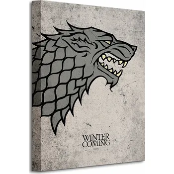 Obraz 30x40 cm Hra o trůny - Game of Thrones (Stark) - Obraz
