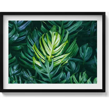 Obraz Nástěnný obraz v černém rámu Tropická příroda - listy monstery 80x60 cm
