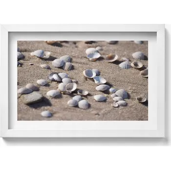 Obraz Nástěnný obraz v bílém rámu Dekorace interiéru Mušle na pláži 30x20 cm