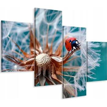 Obraz Čtyřdílný obraz PAMPELIŠKA Beruška 3D 80x50