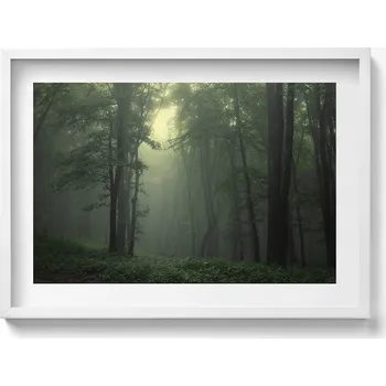 Obraz Dekorativní nástěnný obraz v rámu s grafikou Mlhavý les za úsvitu 70x50 cm