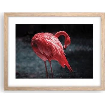 Obraz Obraz plakát v rámu světlý dub do obýváku 40x30 plameňák foto na zeď