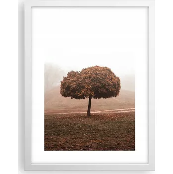 Obraz Obraz plakát v bílém rámu do obýváku 30x40 strom foto plakáty na zeď