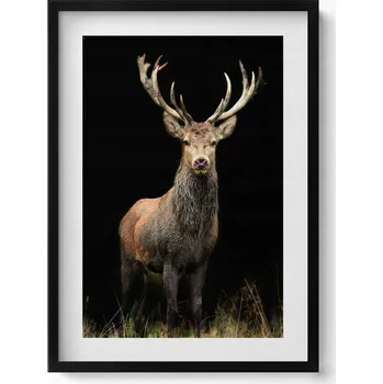 Obraz Dekorativní nástěnný obraz v rámu s grafikou loft Jelen na černém pozadí 50x70 cm