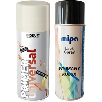 Barva ve spreji RENAULT 369 AKRYLOVÁ SADA LAKU + ZÁKLADNÍ NÁTĚR BIODUR SPRAY