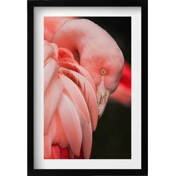 Obraz Nástěnný obraz v černém rámu do obývacího pokoje kuchyně Růžový pták plameňák 40x60 cm