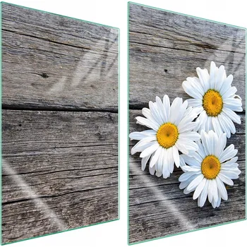 Obraz Krájecí deska TMK ArtDeko sklo 2 ks