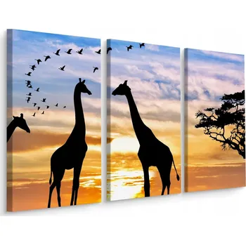 Obraz Obraz Tryptych ŽIRAFY Ptáci Slunce Výhled 3D 60x40