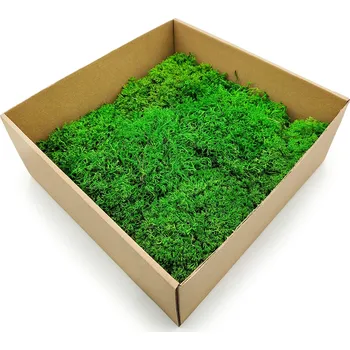 Obraz Mech Chrobotek Sobí - Kulatý - Světle Zelený 25x25cm