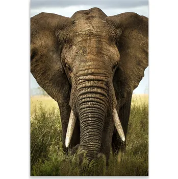 Kuchyňské prkénko Skleněná Ochranná Deska a Krájecí Prkénko | Indukce, Sporák ds-0363