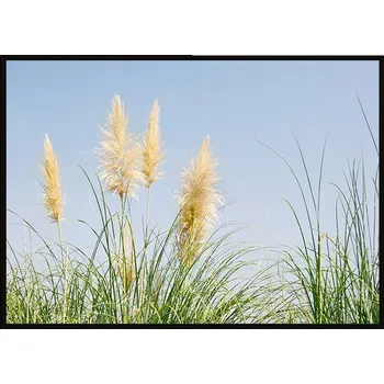 Obraz OBRAZ PLAKÁT S RÁMEM 53x73 cm Tráva P1906
