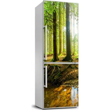 Fototapeta Samolepicí fototapeta na ledničku Proud v lese