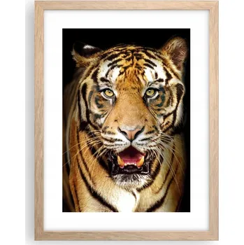 Obraz Obraz plakát v rámu světlý dub do obýváku 30x40 zvířata plakáty na zeď